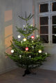 Juletræslys LED med clips 10 stk. H10,5 cm